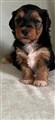 IMG-20250119-WA0000.jpg
